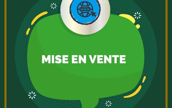 AVIS DE MISE EN VENTE